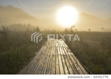 千疊原在夏天與木棧道和晨霧在早晨的陽光下閃耀 千疊原在夏天與木棧道和晨霧在早晨的陽光下閃耀 68302776