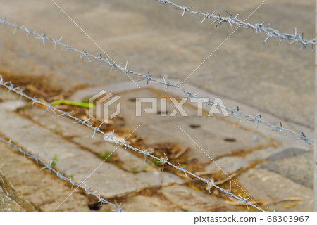 barbed wires for security barbed wires for security 68303967