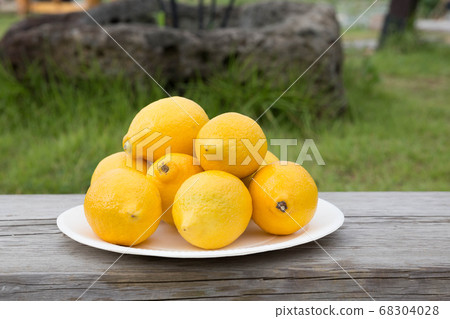 fruit 68304028