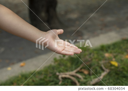Reaching out (child's hand) Reaching out (child's hand) 68304034