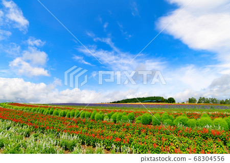 花土地Kamiflatan 68304556