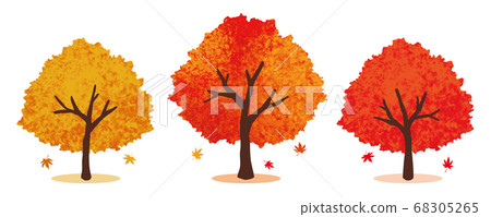 Illustration set of autumnal trees Illustration set of autumnal trees 68305265
