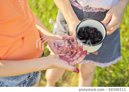 Children with crop of berries in mug, mulberry tree in summer garden 68306511