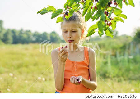 Girl with pleasure eating delicious sweet ripe berries from mulberry tree Girl with pleasure eating delicious sweet ripe berries from mulberry tree 68306536