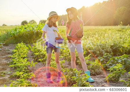 Portrait of two little gardeners in gloves with flowering plants in pots and garden shovels 68306601