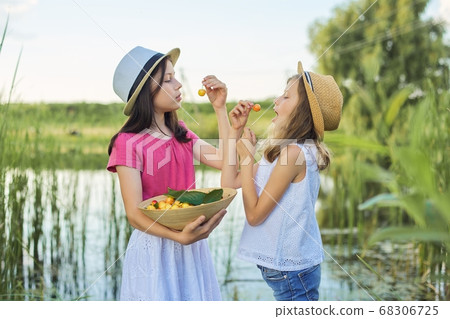 Two girls eating yellow cherries, summer day in nature Two girls eating yellow cherries, summer day in nature 68306725