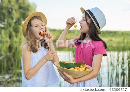 Two girls eating yellow cherries, summer day in nature Two girls eating yellow cherries, summer day in nature 68306727