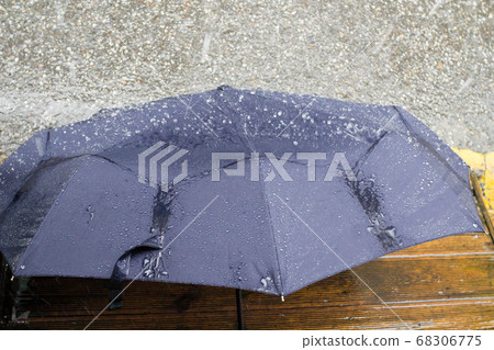 umbrella umbrella 68306775