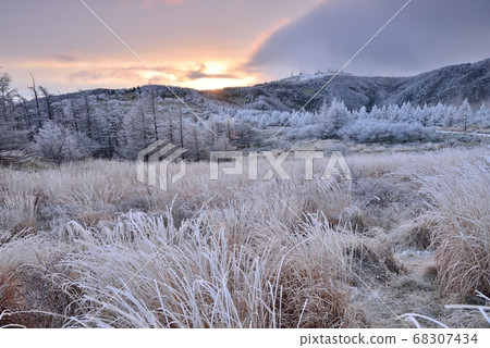 Utsukushigahara Plateau covered with hoarfrost Utsukushigahara Plateau covered with hoarfrost 68307434