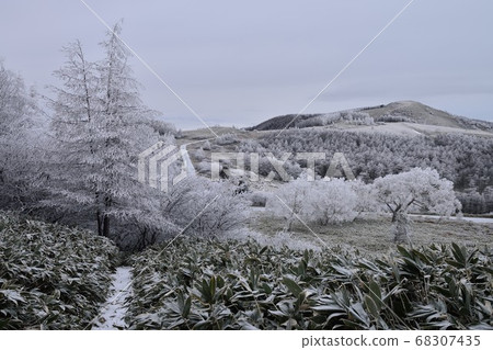 Utsukushigahara Plateau covered with hoarfrost Utsukushigahara Plateau covered with hoarfrost 68307435