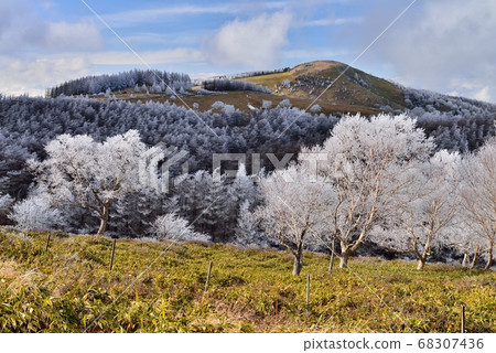 Utsukushigahara Plateau covered with hoarfrost Utsukushigahara Plateau covered with hoarfrost 68307436