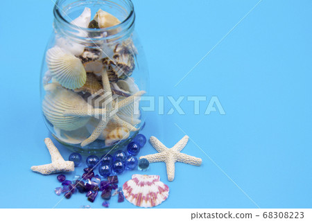 Seashell on blue background Seashell on blue background 68308223