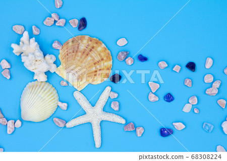 Seashell on blue background 68308224