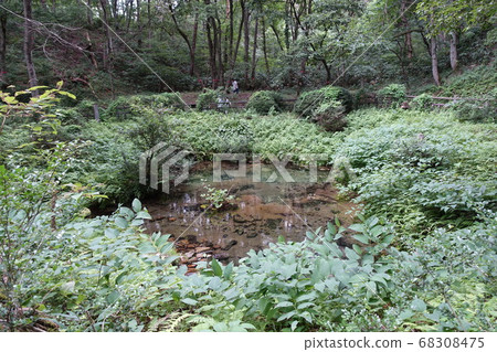 日本岡山縣廣玄市鹽沼的冷泉 68308475