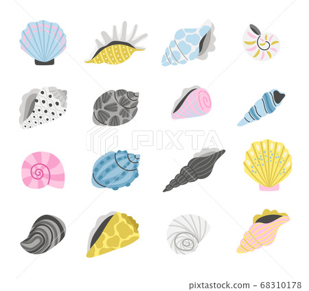 Cartoon marine seashells 68310178