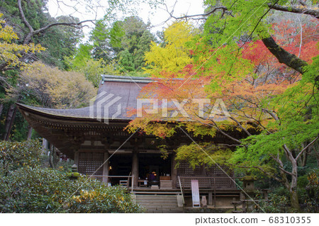 Muroth temple of autumn leaves 68310355