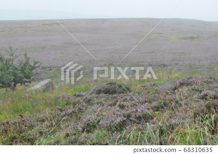 England, Haworth, Heath Hill, Stormy Hills Stage, Emily Bronte 68310635