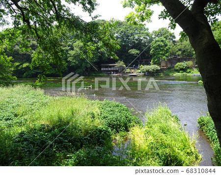靜岡秋田河公園泉水照片 靜岡秋田河公園泉水照片 68310844