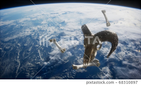 rams skull with bones at Earth orbit rams skull with bones at Earth orbit 68310897