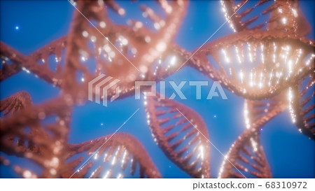 structure of the DNA double helix animation structure of the DNA double helix animation 68310972