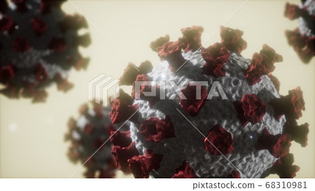 Corona virus Covid 19 macro model 68310981