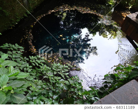 Shizuoka Kakita River Park Spring Water Photo 68311189
