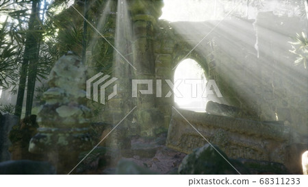 Ruins of famous Temple in cambodian Angkor Wat 68311233