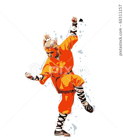Young woman preforming martial arts, vector 68311257