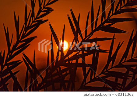 Sunset at the Dead Sea 68311362