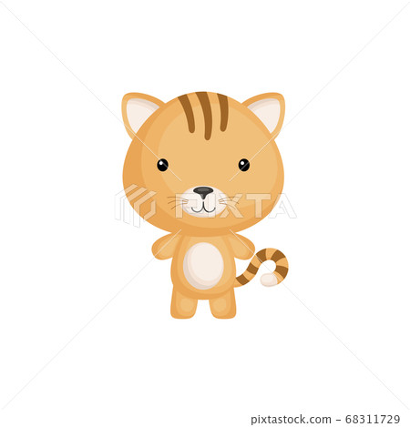 Cute funny baby cat isolated on white background. Adorable animal character for design of album, scrapbook, card and invitation. Cute funny baby cat isolated on white background. Adorable animal character for design of album, scrapbook, card and invitation. 68311729