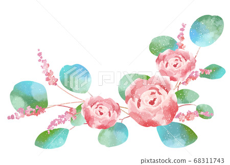 明亮的觸摸玫瑰和桉樹的插圖 68311743