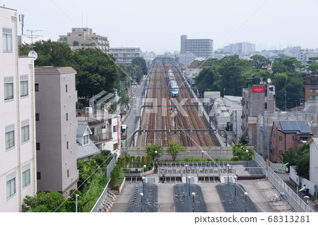 Straight line 68313281