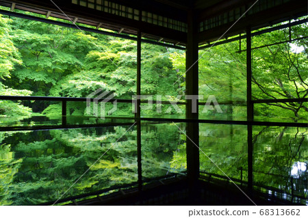 複印機反射的栗子紅葉 68313662