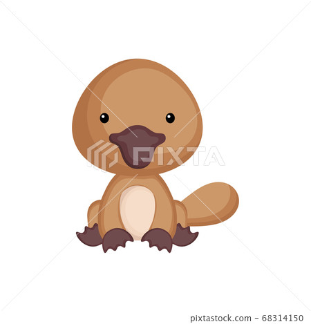 Cute baby platypus sitting isolated on white background. Adorable animal character for design of album, scrapbook, card and invitation. Cute baby platypus sitting isolated on white background. Adorable animal character for design of album, scrapbook, card and invitation. 68314150