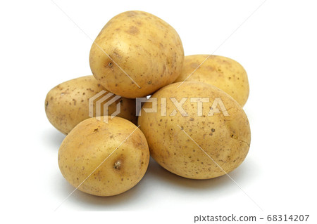 Potato (Sayaka) 68314207