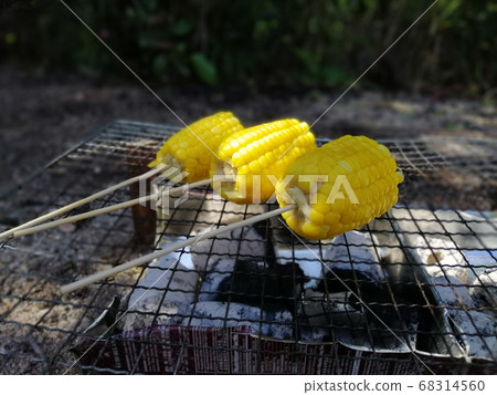 Outdoor camp fire and cooking Outdoor camp fire and cooking 68314560