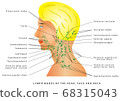 Lymphatic drainage 68315043