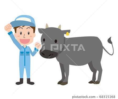 Livestock men and beef cattle 68315168