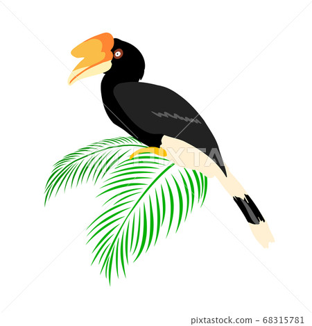 Exotic birds with tropical leaves. Exotic birds with tropical leaves. 68315781