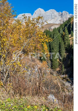 Autumn alpine mountain lake near San Pellegrino 68315992