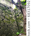 感受歷史的石垣青苔 68317092