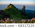 Rishirifuji with clear skies and alpine plants on the summit 68317220