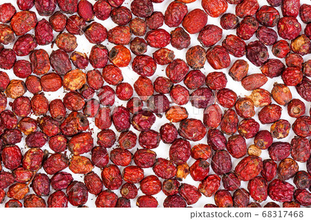Branch plants with Crataegus aestivalis berries on white background. Branch plants with Crataegus aestivalis berries on white background. 68317468