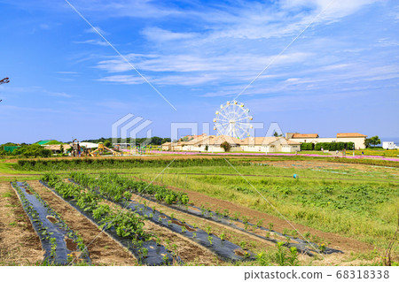 湘南橫須賀Soleil Hill(夏季) 湘南橫須賀Soleil Hill(夏季) 68318338