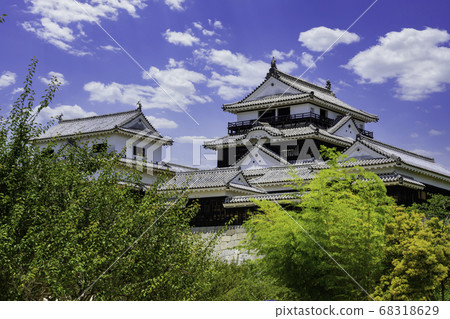 愛媛縣松山市松山城大城堡 愛媛縣松山市松山城大城堡 68318629