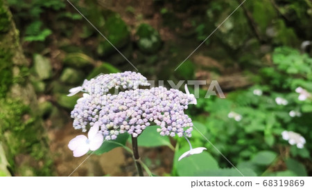山地景觀 山地景觀 68319869