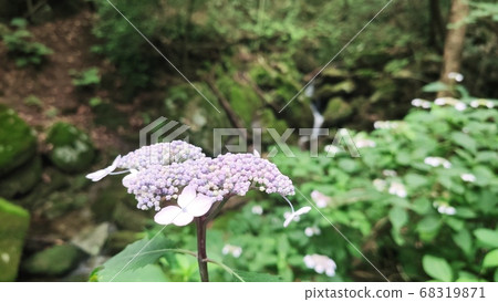 山地景觀 山地景觀 68319871