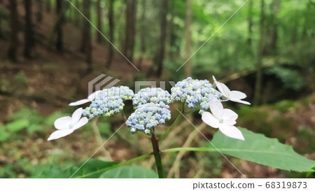 山地景觀 山地景觀 68319873
