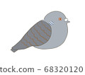 Familiar pigeon Pheasant pigeon 68320120