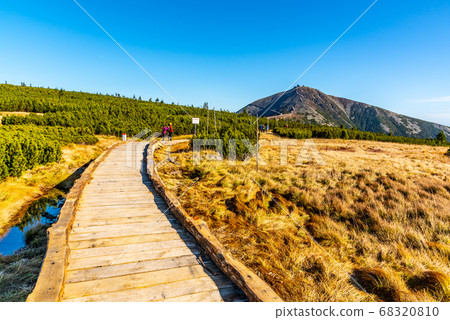 Wooden footpath leads to Snezka Mountain. Giant Mounatins, Krkonose National Park, Czech Republic 68320810